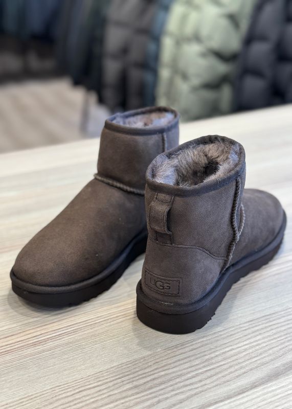 UGG - W Classic Mini II Dusted Cocoa
